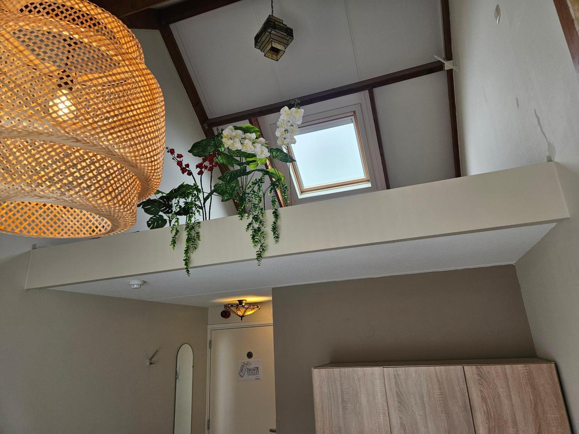 Hotel Dolores Ameland هولوم المظهر الخارجي الصورة