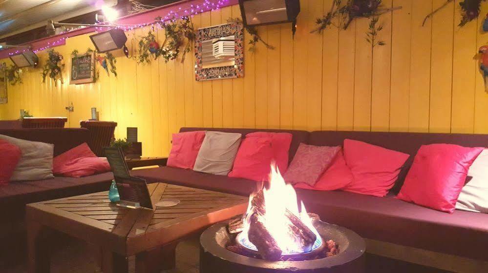 Hotel Dolores Ameland هولوم المظهر الخارجي الصورة